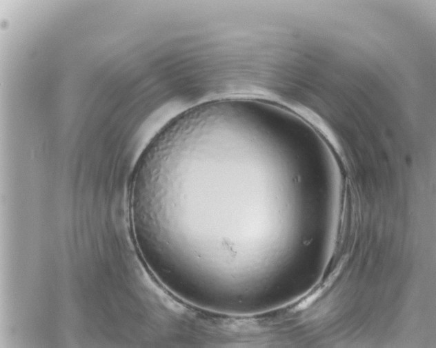 X0000060761006200511171143