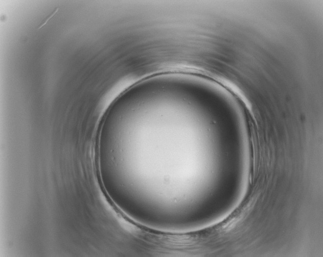 X0000060761007200511171143