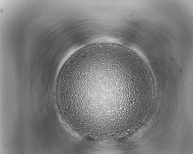 X0000060761008200511171143