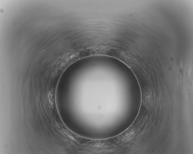 X0000060761010200511171142