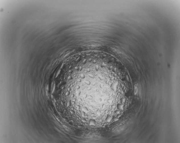 X0000060761011200511171142