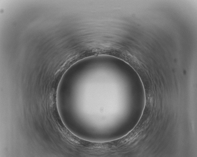 X0000060761012200511171142