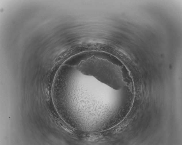 X0000060761013200511171142