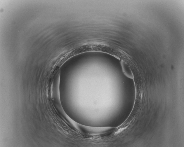 X0000060761014200511171142