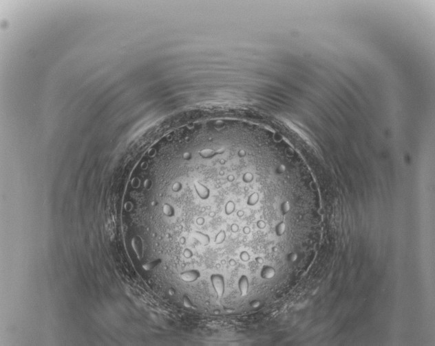 X0000060761015200511171142