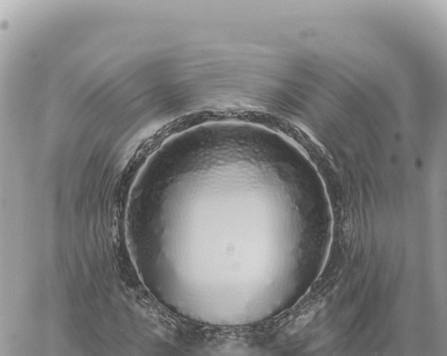 X0000060761016200511171142