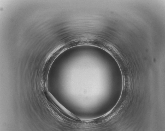 X0000060761018200511171142