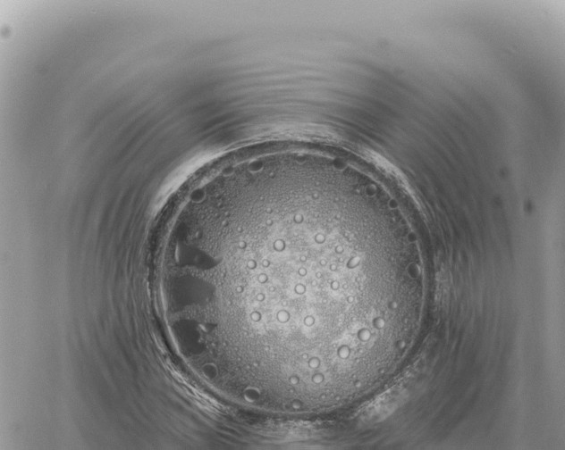 X0000060761019200511171142