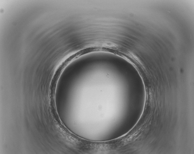 X0000060761020200511171142