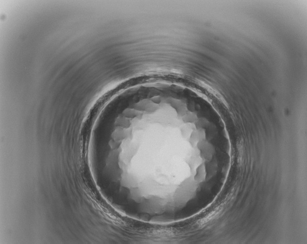 X0000060761021200511171142