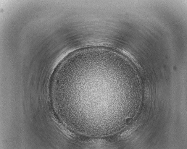 X0000060761023200511171142