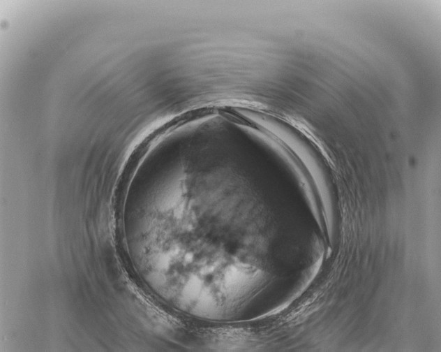 X0000060761024200511171142