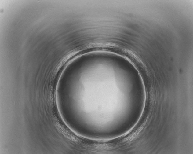 X0000060761025200511171142