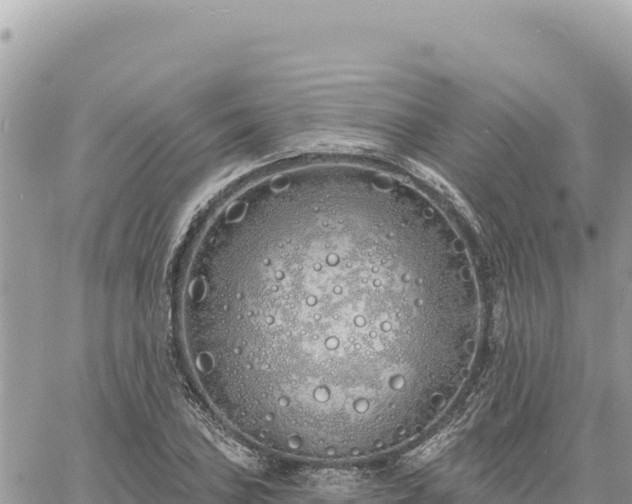 X0000060761027200511171142