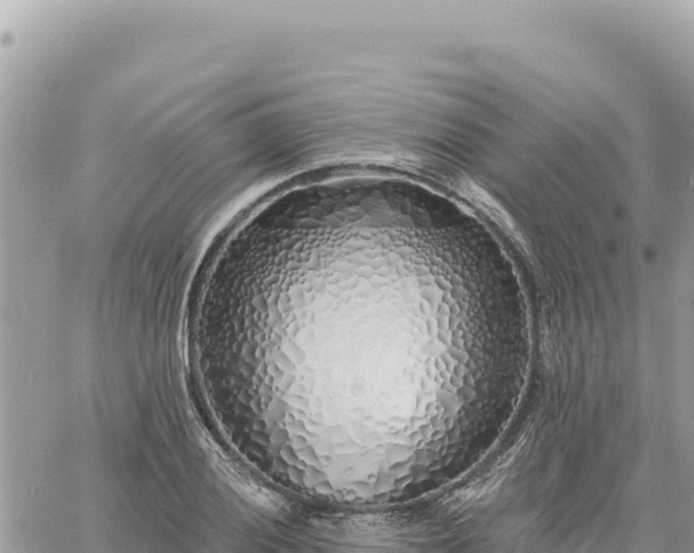 X0000060761028200511171142