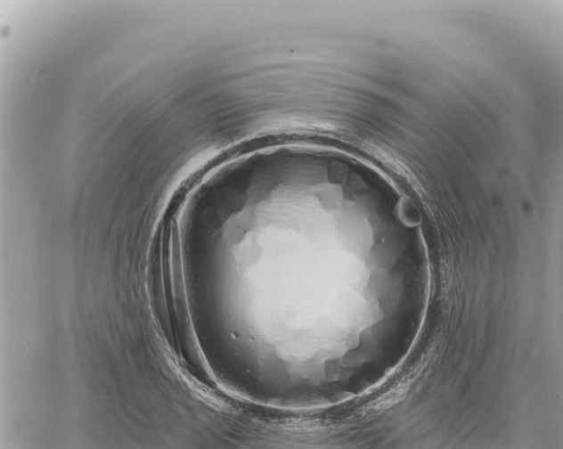 X0000060761029200511171143