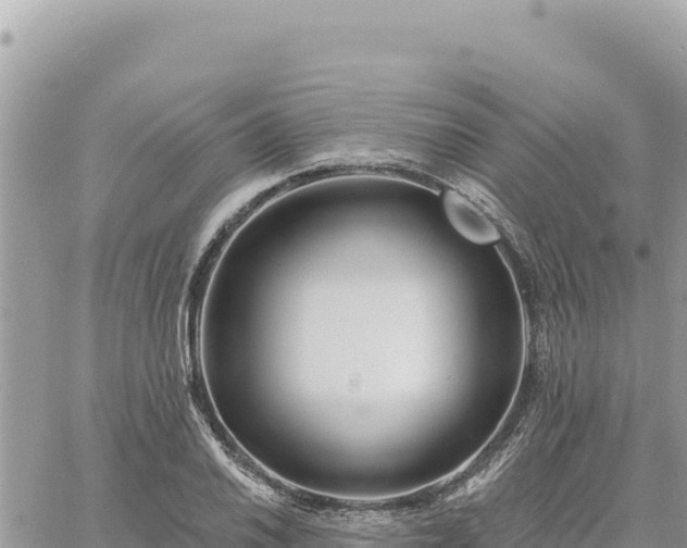 X0000060761030200511171143