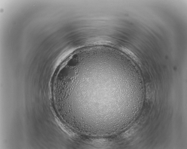 X0000060761031200511171143