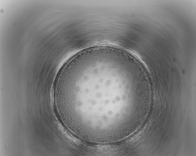 X0000060761032200511171143