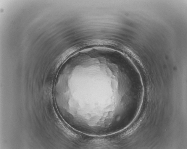 X0000060761033200511171143