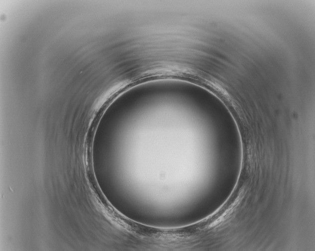 X0000060761034200511171143