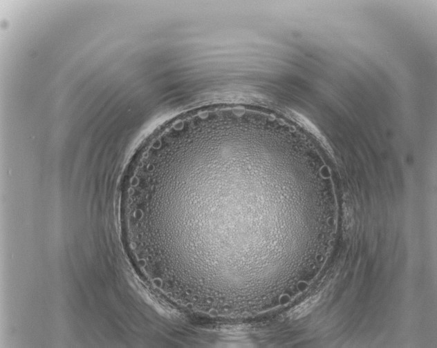 X0000060761035200511171143