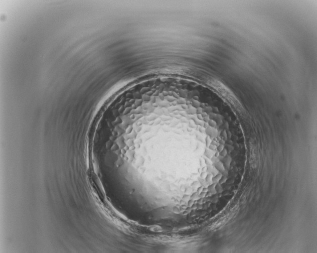 X0000060761036200511171143