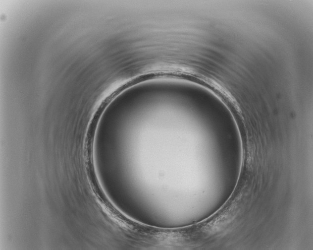 X0000060761037200511171143