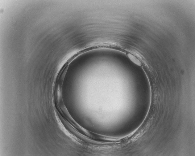 X0000060761038200511171143