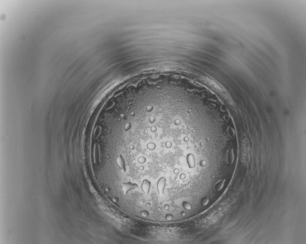 X0000060761039200511171143