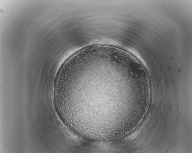 X0000060761040200511171143