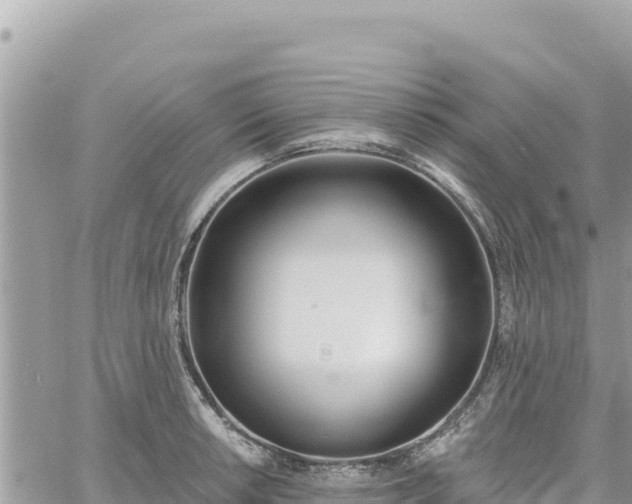 X0000060761042200511171143