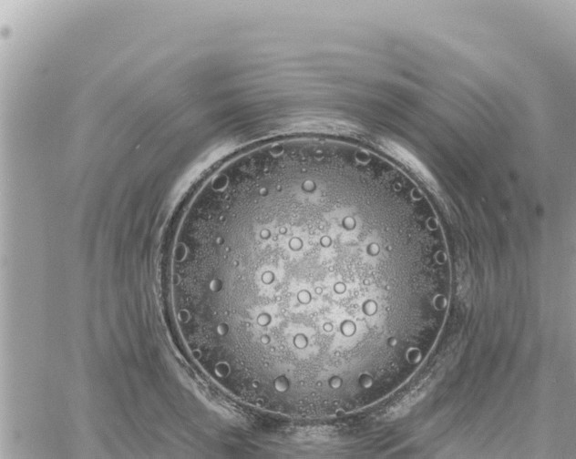 X0000060761043200511171143