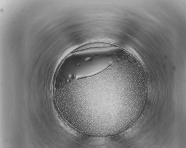 X0000060761044200511171143