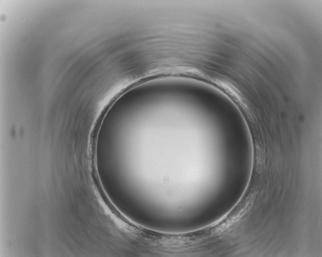 X0000060761046200511171143