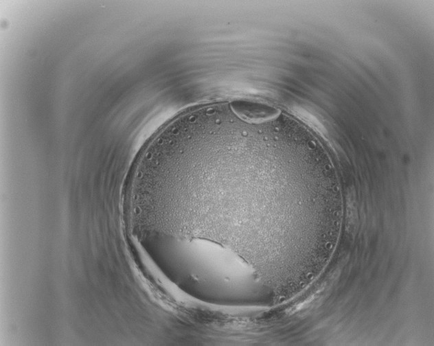 X0000060761047200511171143