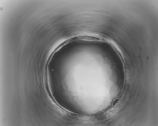 X0000060761048200511171143