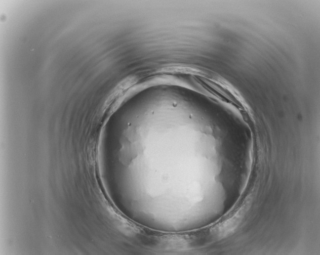 X0000060761049200511171143