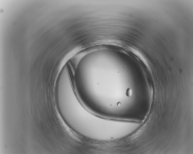 X0000060761050200511171143