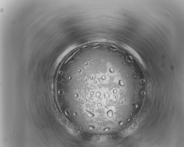 X0000060761051200511171143