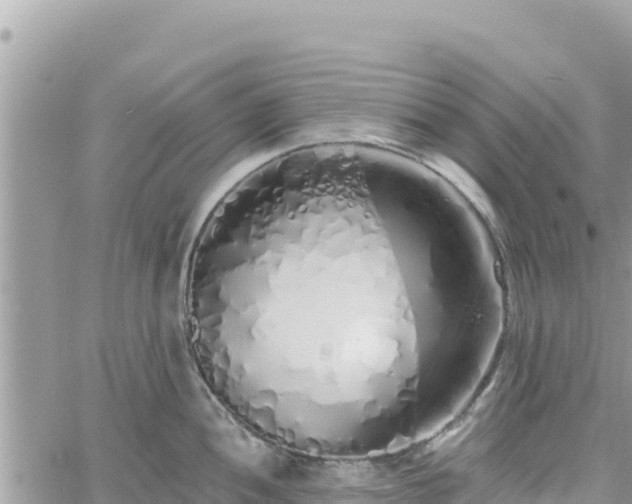 X0000060761052200511171143