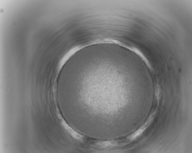 X0000060761054200511171143