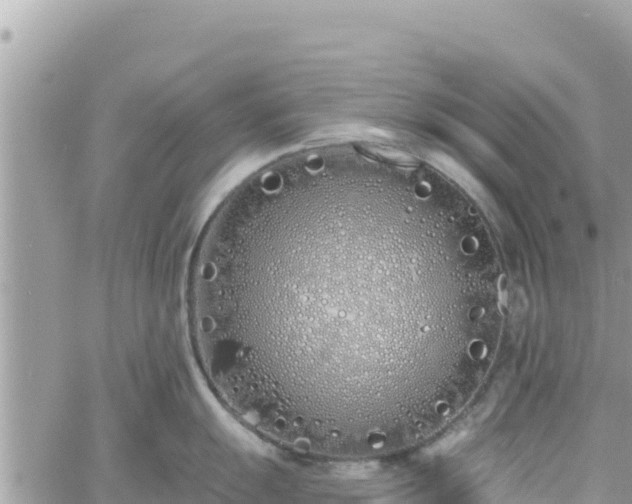 X0000060761055200511171143