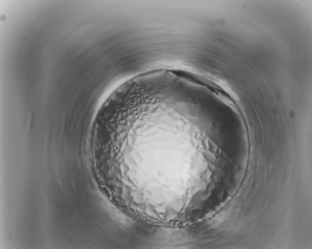 X0000060761056200511171143