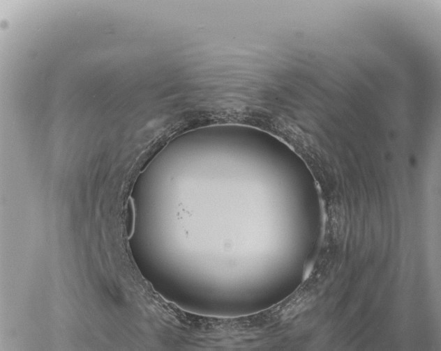 X0000060761057200511171142