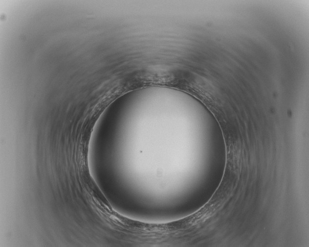 X0000060761058200511171142