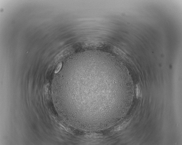 X0000060761059200511171142