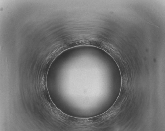 X0000060761060200511171142