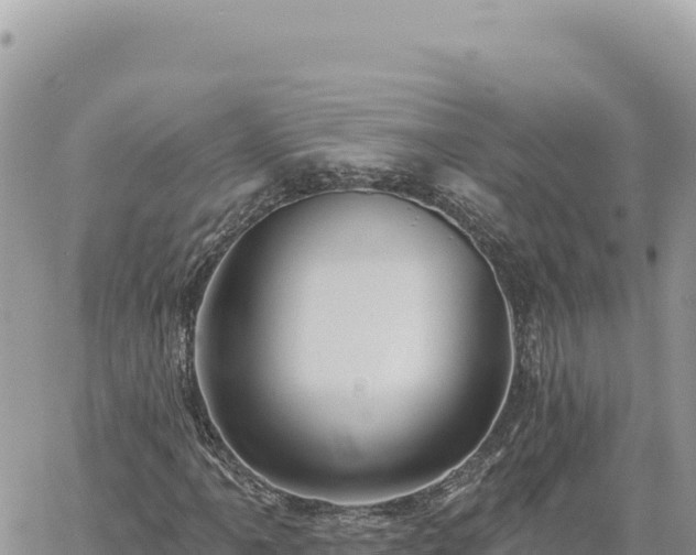 X0000060761061200511171142