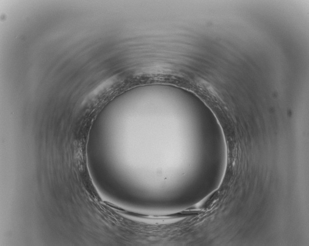 X0000060761062200511171142